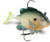 Storm WildEye Live Sunfish - 1/4oz 2'' Sunfish 3pk