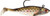 Storm WildEye Swim Shad - 7/16oz 4'' Bunker 3pk