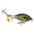 Strike King Bitsy Chickin - 2.5'' The Real Gill - FARR-1523