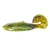 Strike King Buzz Minnow - Green Pumpkin Chart Belly