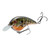 Strike King Chick Magnet - Natural Bream