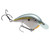Strike King Chick Magnet Jr - 1/4oz Sexy Shad 2.1