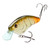Strike King Hardliner - Bone Craw