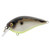 Strike King KVD 1.5 HaKnck E - Mirage Gizzard Shad
