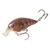 Strike King KVD 4.0 Mag Sq - Brown Phantom Craw