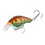 Strike King KVD 4.0 Mag Sq - Table Rock Craw