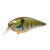 Strike King KVD Elite 2.5 - Sunny