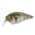 Strike King KVD Elite 8.0 - The Real Gill