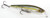 Strike King KVD Jerkbt 4.5'' - Sexy Ghost Minnow