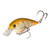 Strike King KVD Square 1.0 - Bone Craw