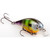Strike King KVD Square 1.0 - Neon Bluegill