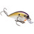 Strike King KVD Square 1.5 - TN Shad 2.0