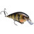 Strike King KVD Square 1.5 - Yellow Perch