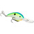 Strike King Pro-Model 5 XD - Citrus Shad