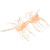 Strike King Sexy Bug - 2'' White Sauce 6pk