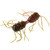 Strike King Sexy Bug - 3'' Grape Whiskey 6pk