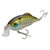 Strike King SW HybrdHntrJr - Sexy Pogy