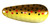 Thomas Cyclone - 1/6oz 1.75'' Brown Trout