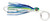 Williamson HS Sailfish Ctchr - 2.5'' Mahi