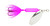 Yakima Rooster Tail - 1/16oz Swing; Pink