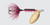 Yakima Rooster Tail - 1/6oz Swing Gold; Rainbow