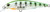 Yo-Zuri 3Dr-X Jerkbait (Sp) - 3/8oz 3.125'' Gspc