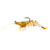 Z Man PrawnstarZ - 3'' Golden Boy 2pk - FAR-522