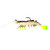 Z Man PrawnstarZ - 3.5'' Glow Chartreuse 2pk