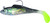 Betts Billy Bay Halo Shad, 1/8oz Majic Chicken 3pk