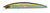 Daiwa Salt Pro Minnow, 1.11oz 6'' Laser Ayu
