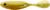 DOA CAL Airhead PT Swimbait, Glow/Gold Rush Belly 6pk