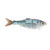 Duckett BDSHAD Slow Sink, 2oz 6'' LitUp BBH