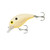 Bandit 100 - Bone Orange Belly