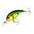 Bandit 200 - Chart/Black Back Scales