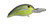 Bandit 200 - Chartreuse Fleck