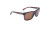 Optic Nerve - Ziggy Polarized Sunglass - Tortoise/brown -