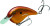 Strike King - Chick Magnet Jr Crnkbait - 2in 1/4oz Baby Carp - HCCMJ-556