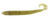 Zoom - Dead Ringer Worm - 4in 20bg Watermelon Red -