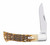 Case - Case 10799 Axe Handle Peach Seed Jig Amber Bone