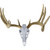 Hunters Specialties Metal Magic Euro Mount Kit? Bone White - HS-EM-M-WHT