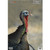 Birchwood Casey - Pregameâ® 12" X 18" Turkey Target - BC-35403