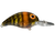 Bandit 100 Series, 2'' Blue Sage Craw