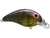 Bandit 100 Series, 2'' White River Craw