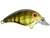 Bandit 50 Series, White River Craw