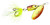 Blue Fox Flash Spinner, 1/8oz #1 Black Chartreuse