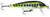 Rapala Countdown, 1/8oz 1.5'' OliveGrnMuddler