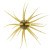 Hideup - Coike Fullcast - #102 Watermelon Seed -