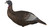 Flextone Flxflxdy315 Thunder Chick Upright