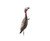 Flextone Flxflxdy330 Funky Chicken Gen. 2