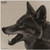 Infraredid Rcoyotehd1 Therm Coy Head Targt